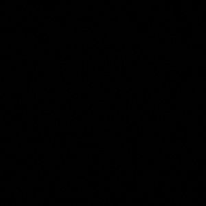 Meet your Posher, Jerry